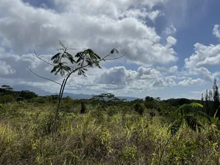 North Shore EcoTours