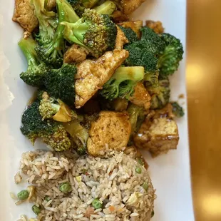 Tofu and Broccoli Stir Fry Lunch