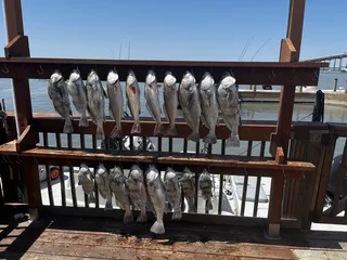 Southbound Fishing Charters - Captain Pierre Petrila