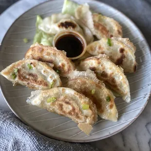 Fresh Gyoza