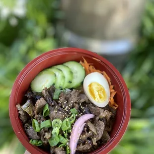 Gyudon Beef
