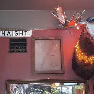 a deer head with lights