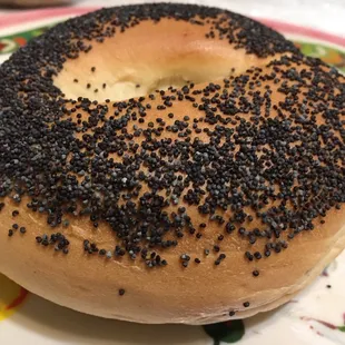 Poppy Seed Bagel