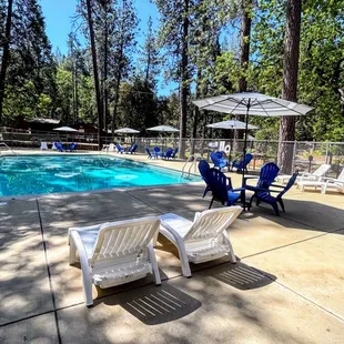 Our pool is surrounded by beautiful pine trees.
