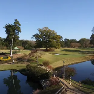 Golf course with a great tree