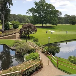 outside, sushi and sashimi