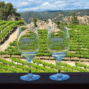 Gold Hill Vineyard & Brewery
