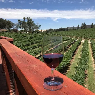 This place is a gem. They have a double gold rosé and voted best rosé in California and some amazing reds (Zin and Barbera are top notch)