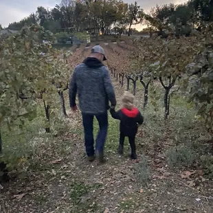 Love this pic of my husband and our niece exploring the vineyard!