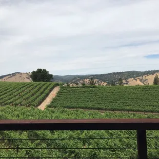 View from the deck at gold Hill