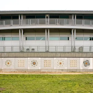 this is the building