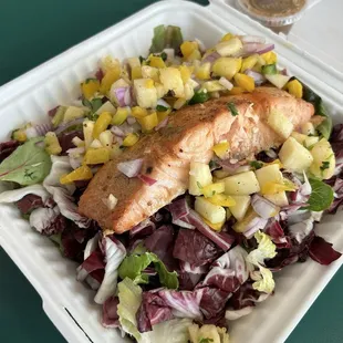 Salmon Salad ~ $11.29