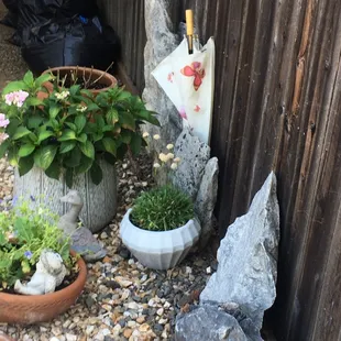 One of our Residents beautiful yards