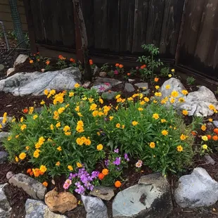 One of our Residents beautiful side yard