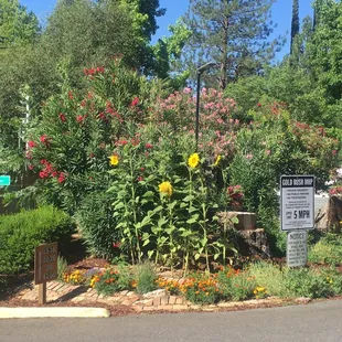 View when entering the park