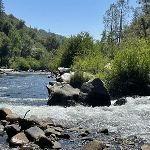 Beautiful day to hang out