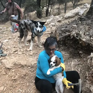 Doggies love gold too