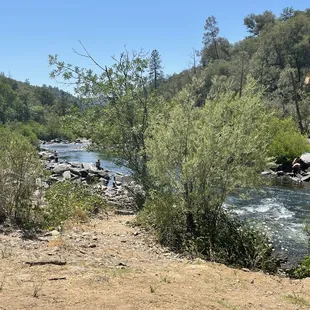 Nice Stream to pan in today