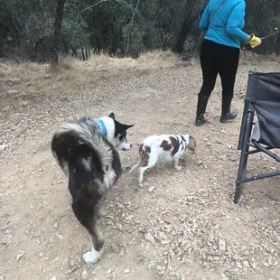 Working for crystals