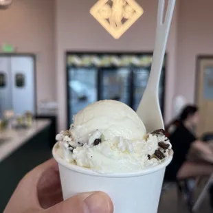 Mountain Mint mini scoop. Also got the cookies and cream. This is a small cup.