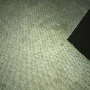 Dirty carpets and it felt wet... wtf?!!