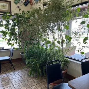 tables and chairs in a restaurant