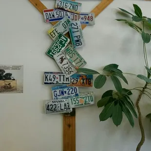 ?, it must mean something.