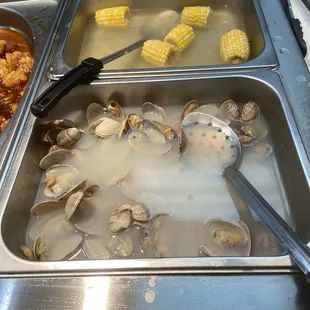 oysters and mussels, interior