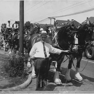 John McGinley with the Budweiser Clydesdales.