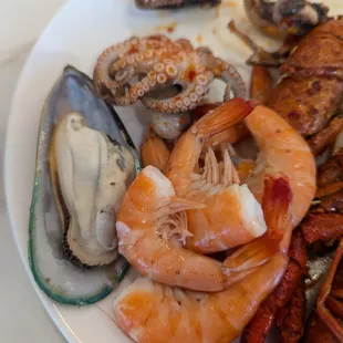oysters and mussels, food