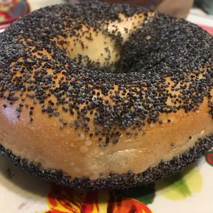 Poppy Seed Bagel