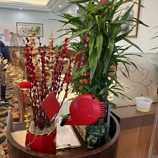 Plants