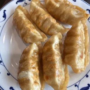 Pot Stickers