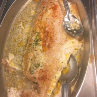 Salmon