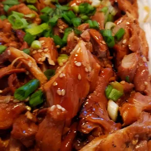 a plate of food with meat and rice