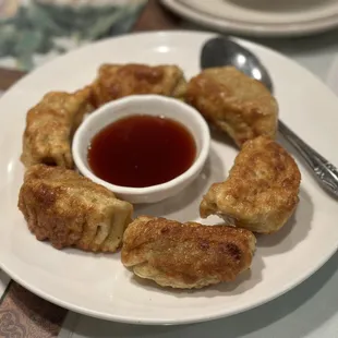 Hand made Gyoza