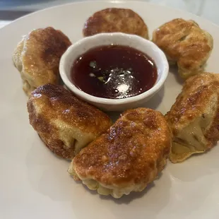 Really Good Pot Stickers