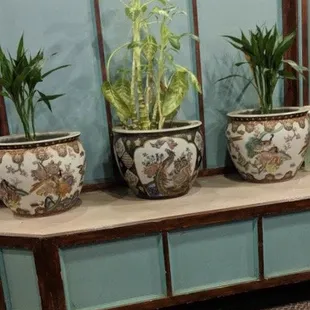 Plants