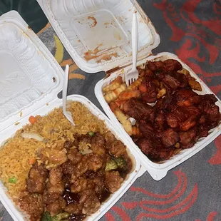 General Toss chicken combo &amp; Sparerib tips &amp; French fries