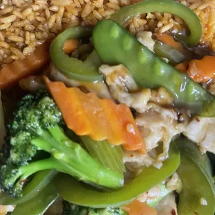 L10. Chicken with Garlic Sauce Lunch Special