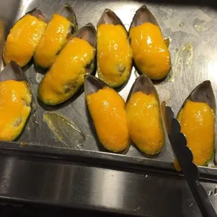 oysters and mussels, oysters, food, mussels, shellfish