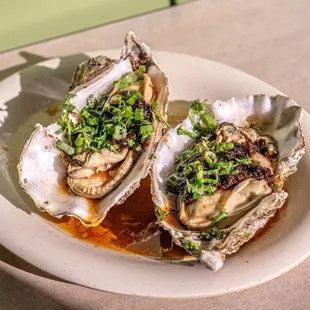 Steamed Oyster