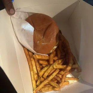 Chicken sandwich &amp; fries