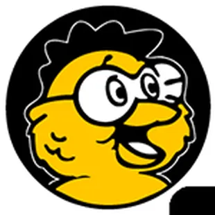 a yellow bird with a black background