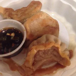 Fried Dumplings