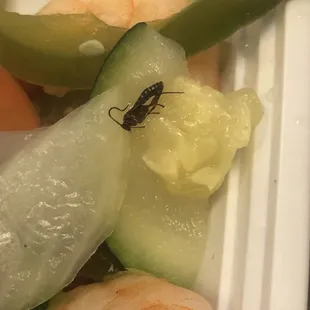 food, sashimi, sushi and sashimi, sushi