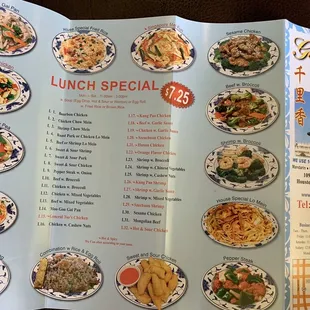 Full menu back