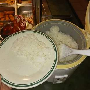 a person holding a bowl of rice