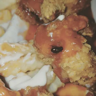 Co worker ordered buffalo wings and found a dead fly on her chicken.  The manager no longer spoke english when a refund was requested