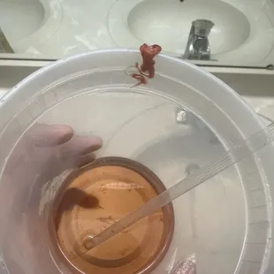 After I poured the half and half out, because I am not drinking it. This is what it looks like.